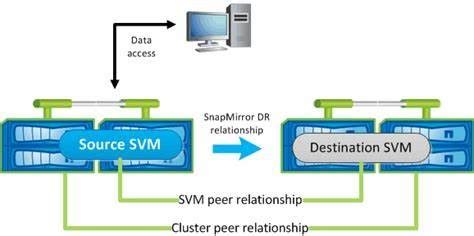 snapmirror dr